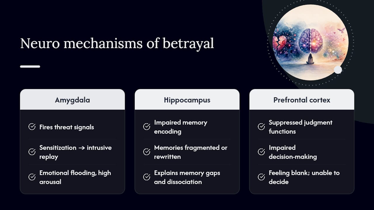 Why betrayal shock is uniquely disorienting: theory and nervous-system mechanics — overview diagram